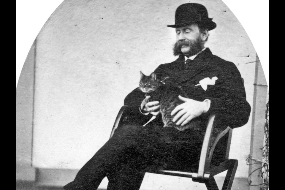 Governor Fredrick Seymour had his protrait taken with a cat some time between 1866 and his death in 1869. Reference code: AM54-S4-1-A-6-: A-6-111