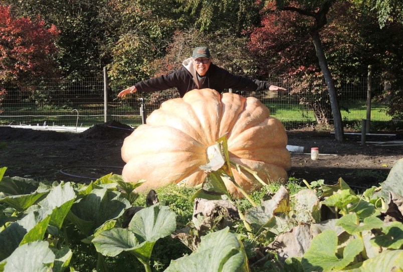 David Chan shows off his giant pumpkin, grown in his east Richmond backyard. Photo by Alan Campbell 