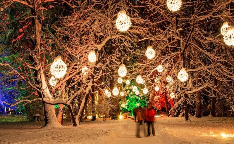 This magical 1km light walk in Metro Vancouver transports visitors into a winter wonderland
