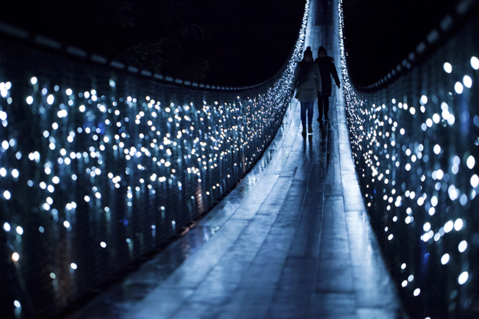 Canyon Lights 2020 has been cancelled due to COVID-19 restrictions in B.C. Image courtesy of the Capilano Suspension Bridge Park 