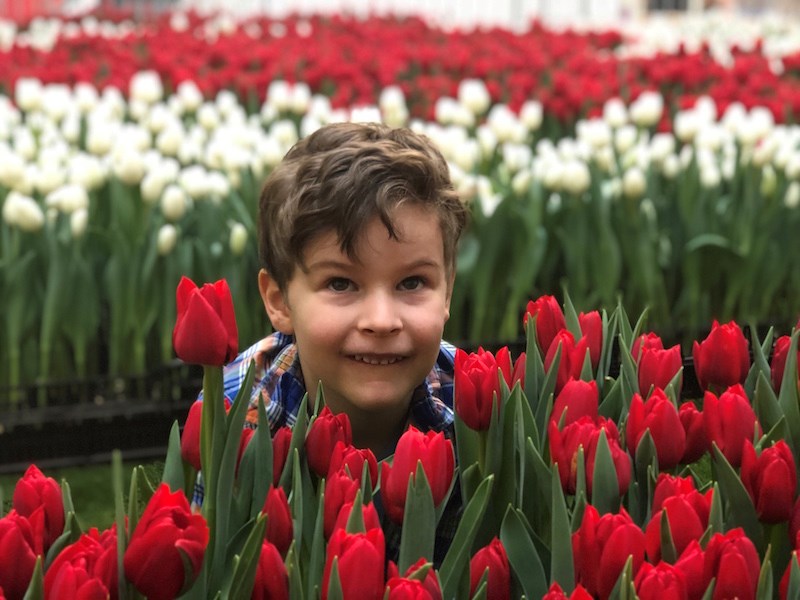 i-heart-tulips-2019-02