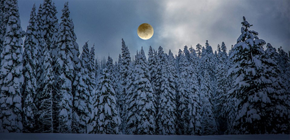 Moon-lit-snowshoe-tours