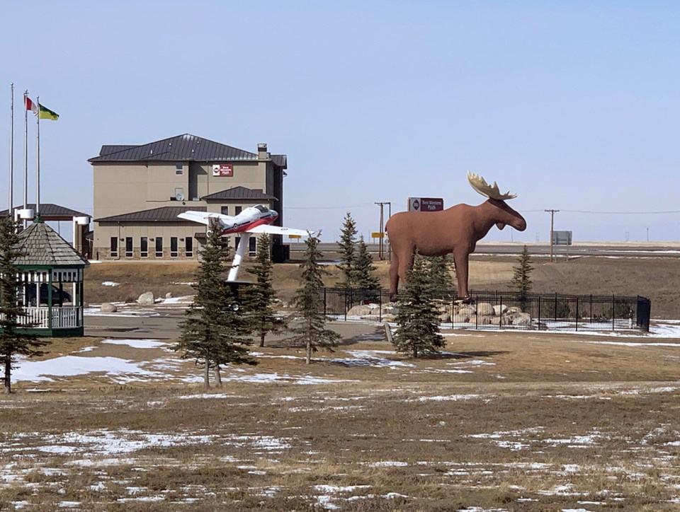 moose-jaw-moose-larry-campbell