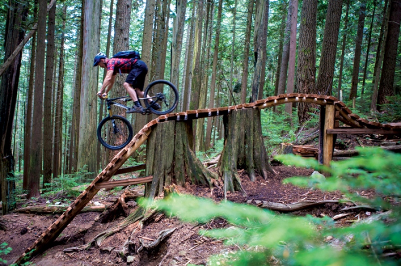 North harbour mountain bike trail outlet