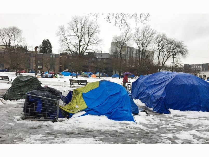 oppenheimer-park snow