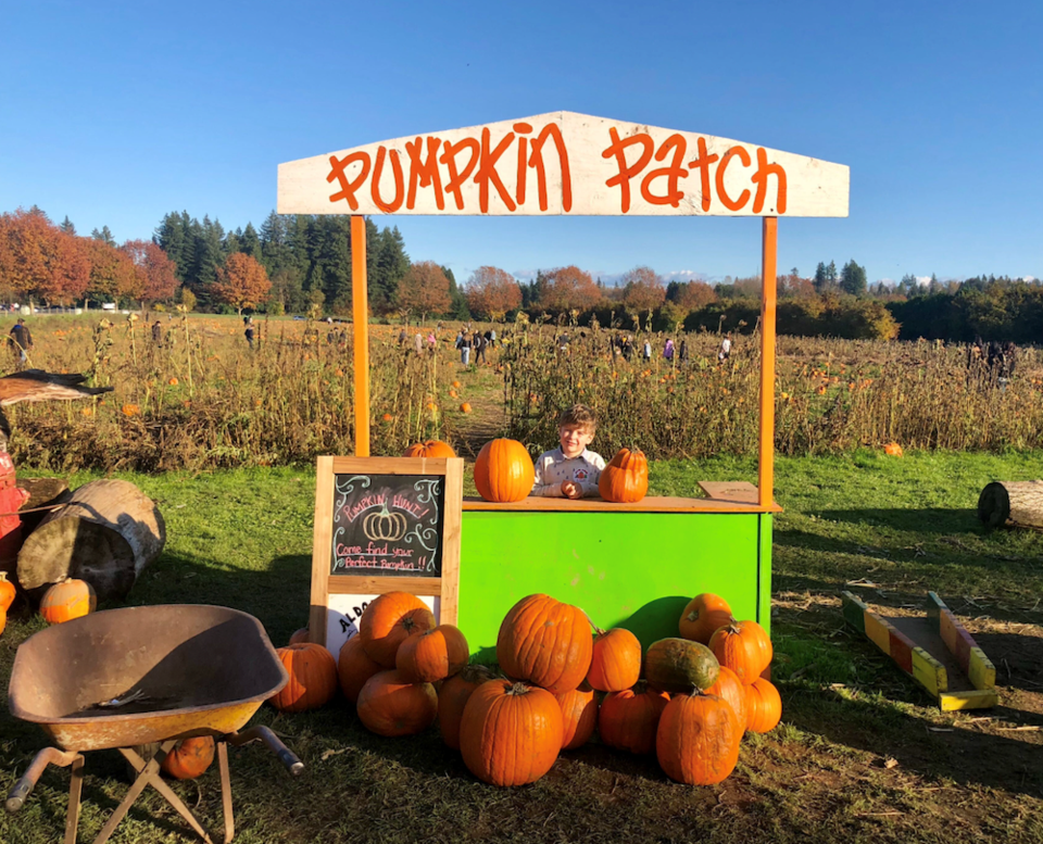 aldor acres family farm pumpkin patch langley