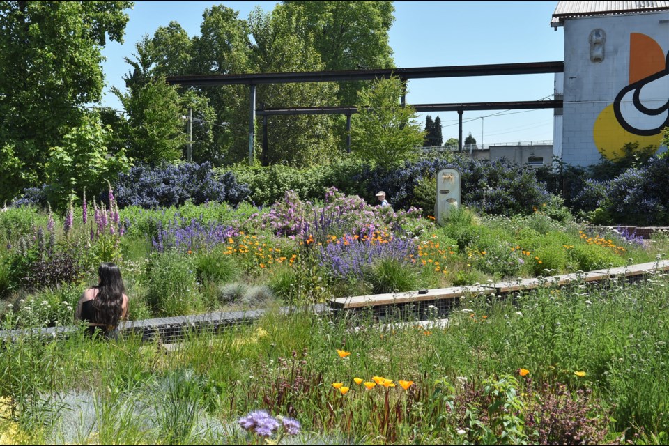 The Burrard Slopes Park has been in the planning stages since the mid-90s.