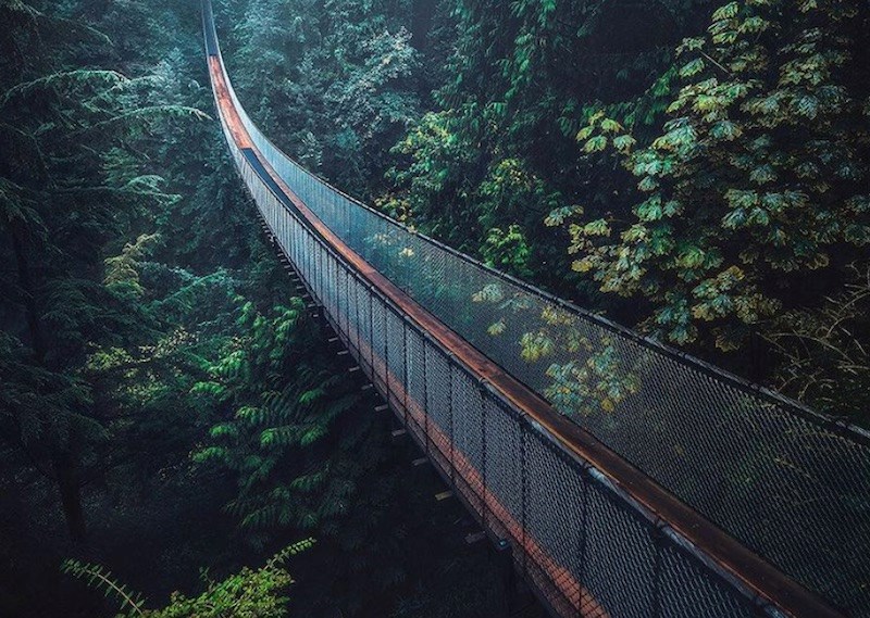 Capilano-Suspension-Bridge-North-Vancouver-BC