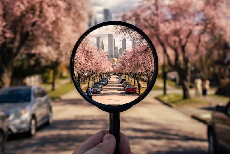 cherry-blossoms-photo-vancouver-march-2021