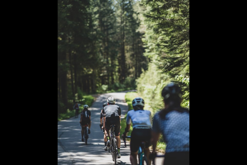 The bike route is a long winding stretch of well-paved path that is embraced on both sides by tall trees.