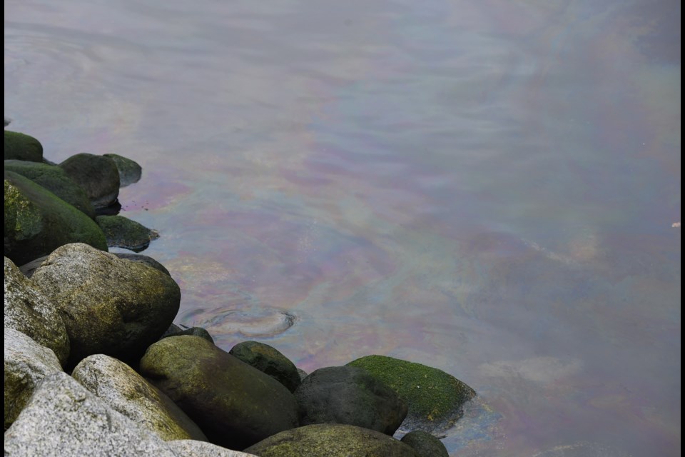 What appears to be an oil slick is visible along the banks of Vancouver's False Creek, but what's causing it is unclear at the moment.