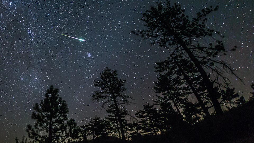 fireball-meteor-shower-pine-trees