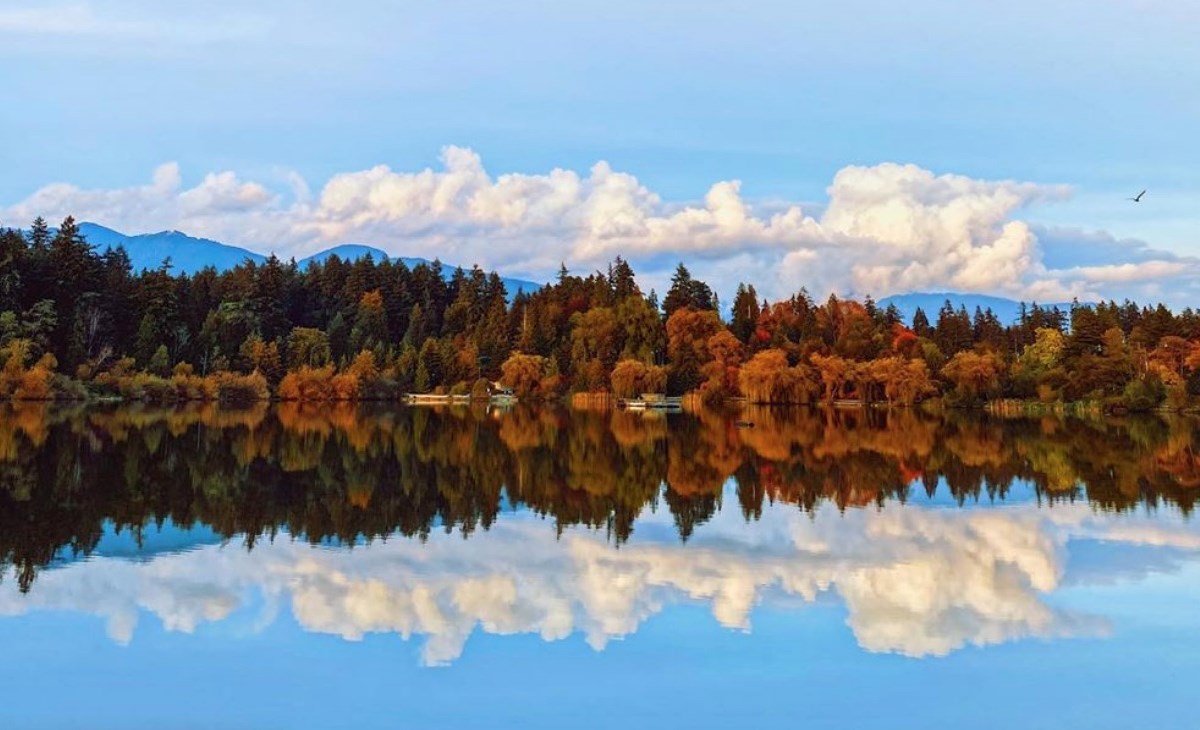 Beautiful photos of fall foliage in Vancouver - Vancouver Is Awesome