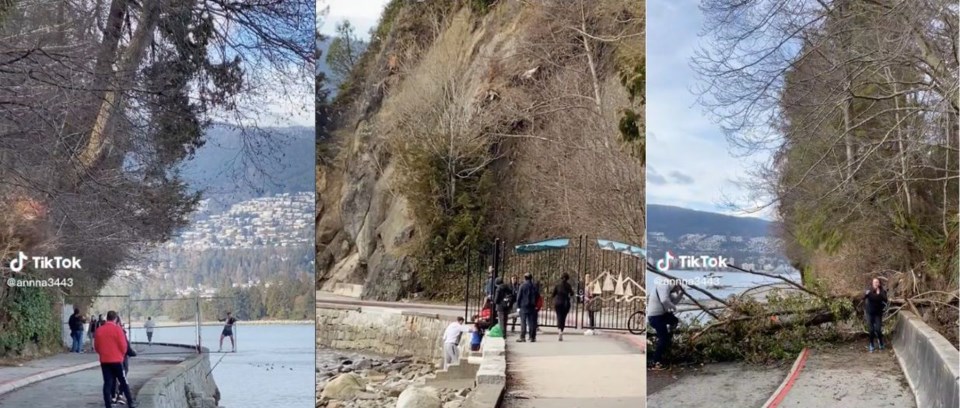 people-ignoring-seawall-fencing