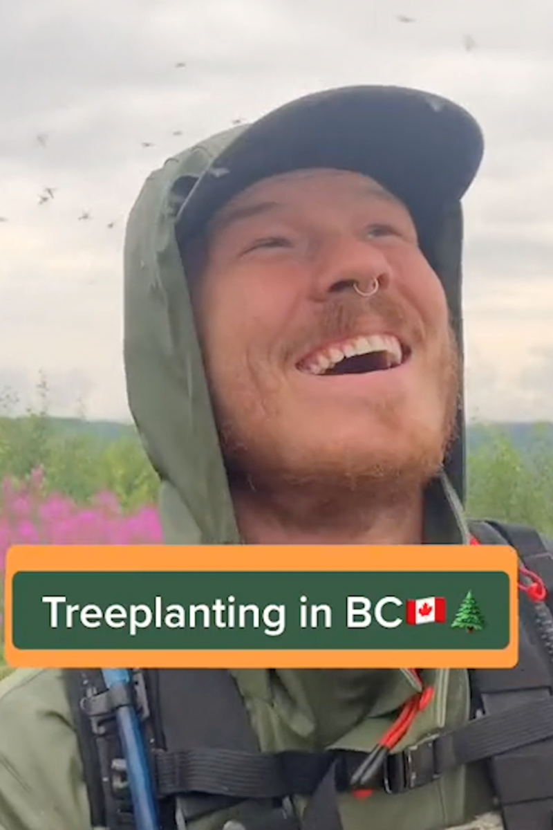 How Much Do Tree Planters Make In B C Vancouver Is Awesome how-much-do-tree-planters-make-in-b-c-vancouver-is-awesome