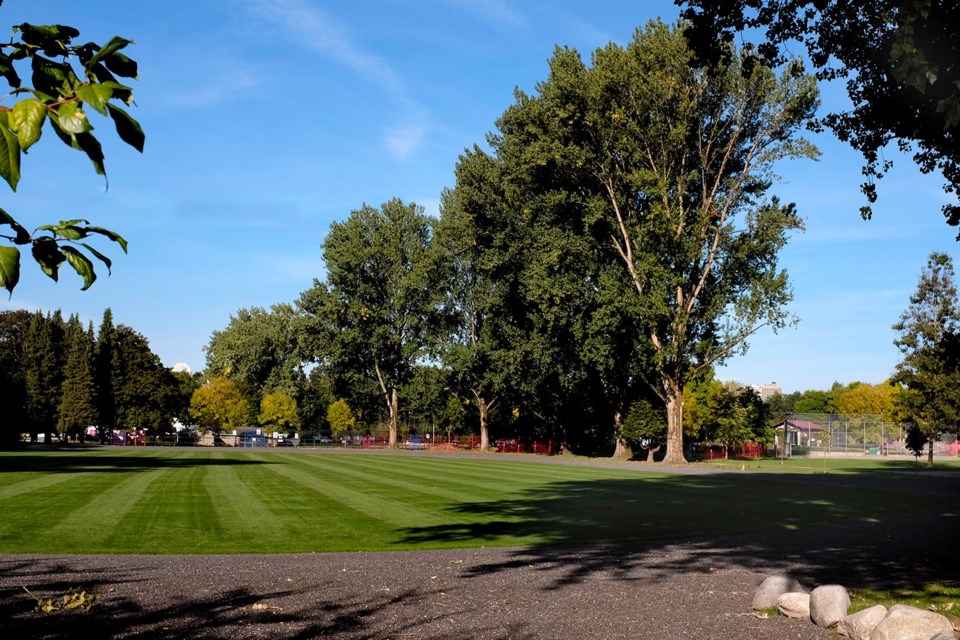 Strathcona Park remediated