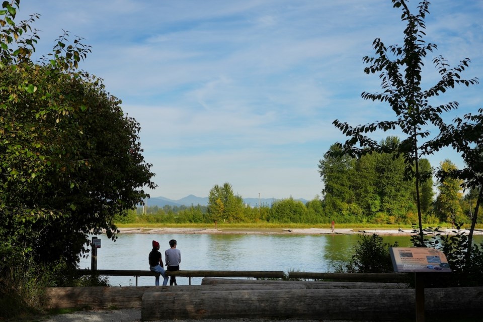 surrey-bend-regional-park-bc-bird-trail