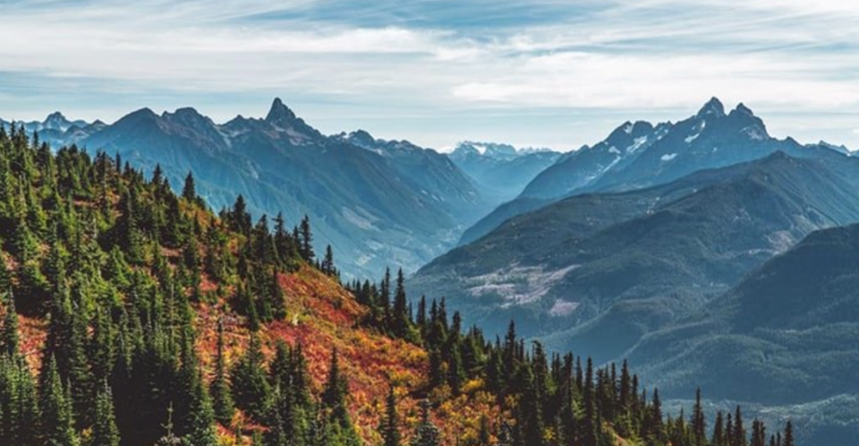 The stunning Elk Mountain trail. Photo: @stasher_bc via Instagram