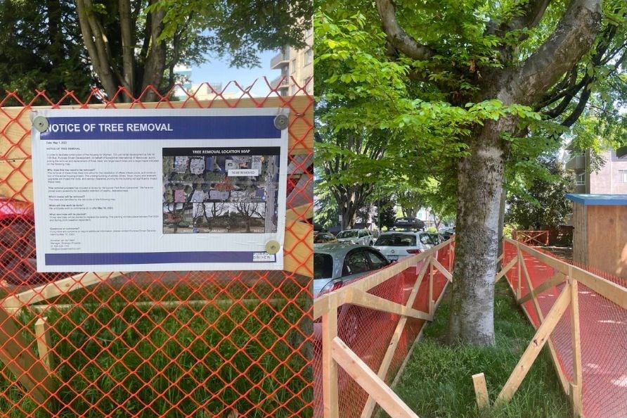 Trees are being removed along the 500 block of West 13th to make room for a tower development and locals are not happy.