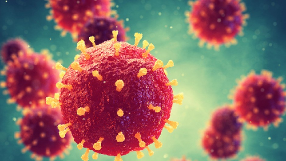 The 2019-nCoV virus started in Wuhan, China, and is believed to have been passed to a human being from an animal. Photo: Nobeastsofierce/Shutterstock