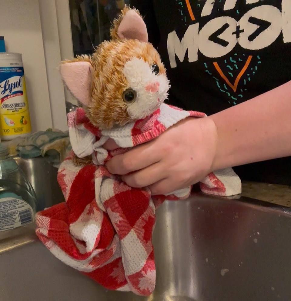 kitty-bath-june-2025