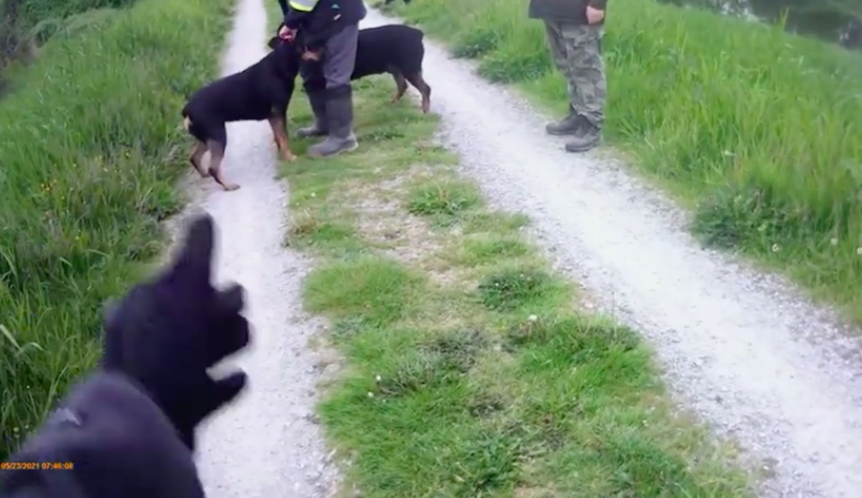 racist-confrontation-metro-vancouver-trail-dogs.jpg