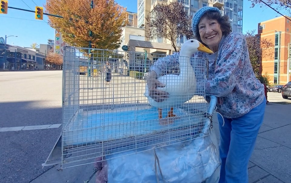 www.vancouverisawesome.com