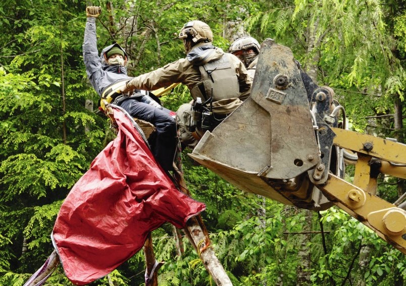 June 11, 2021: A protester raises his arm in ­defiance as he is extracted from a tripod by RCMP on a ­logging road near Port ­Renfrew, B.C.