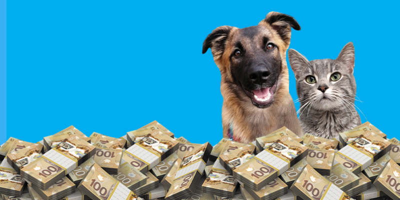 bcspca_lottery_2021