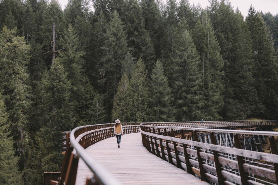 cowichan-bridge