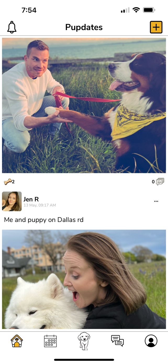 doggy-date-app-feed