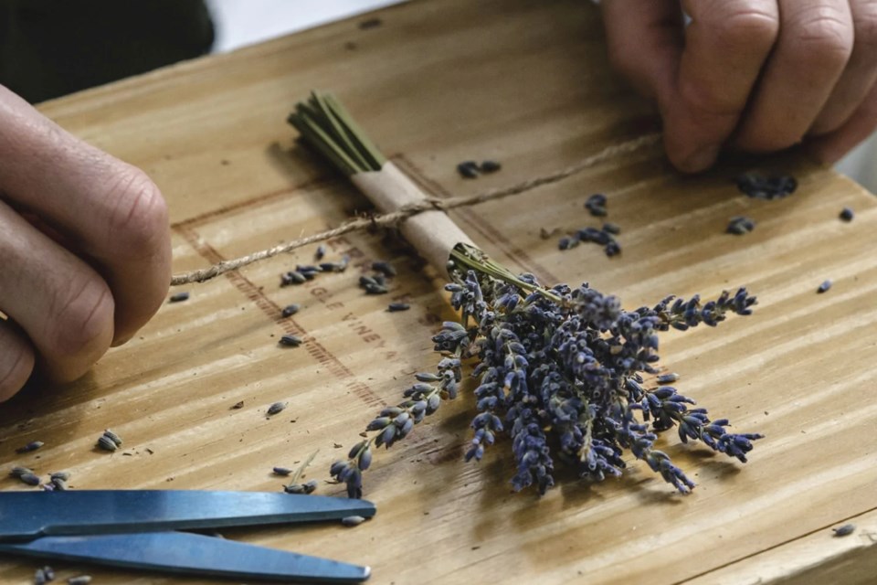 google-canada-provence-en-couleur