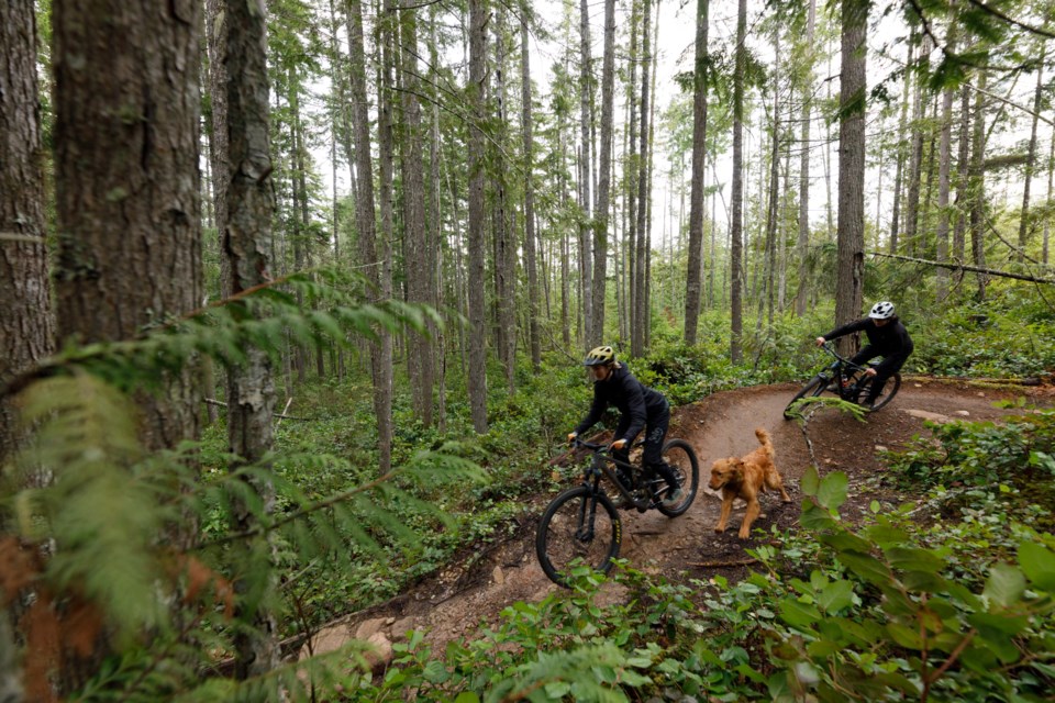 mountain-biking-in-cumberland-by-daniel-fluery