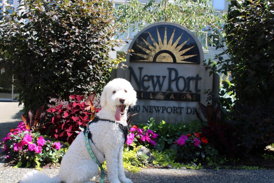 newport-village-july-1