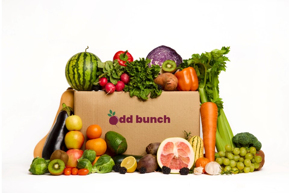 odd-bunch-box-mixed