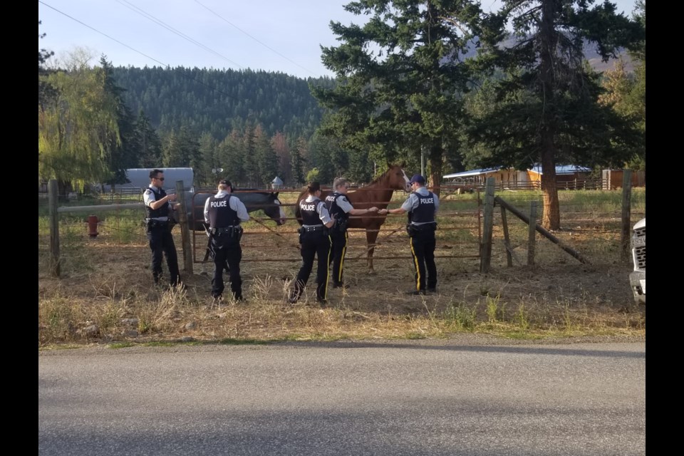 COVID-19 has created an unprecedented situation in B.C. that puts even more pressure on the local RCMP. 