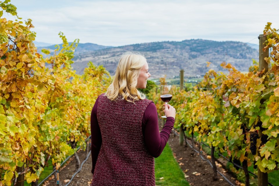 Osoyoos Tinhorn Creek Vineyards