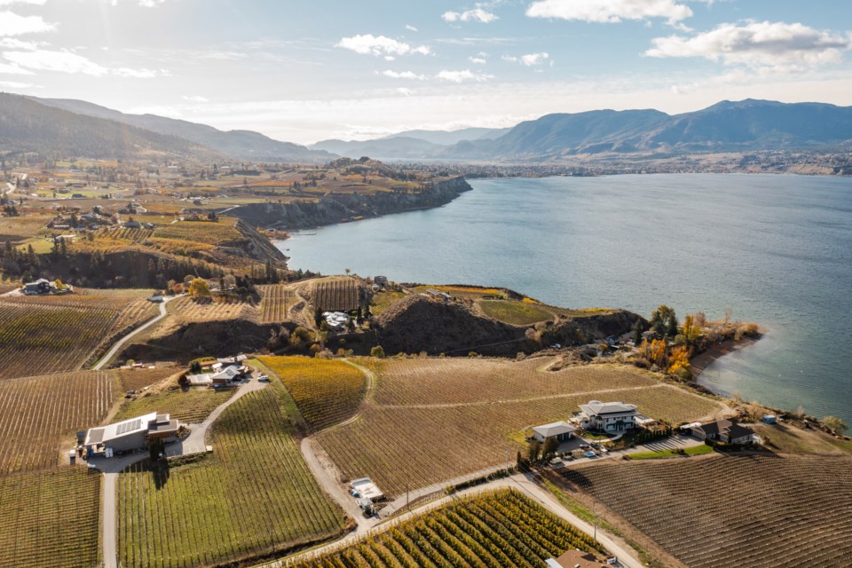 penticton-la-petite-abeille-chris-stenberg