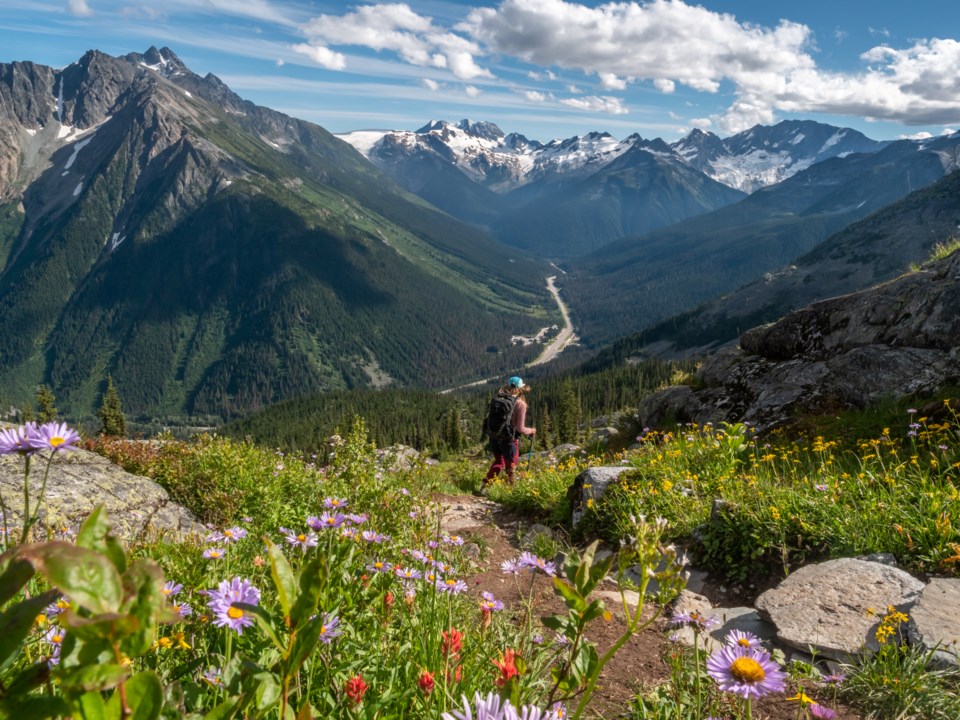 Revelstoke - Glacier National Park Hiking Wildflowers - Tom Poole
