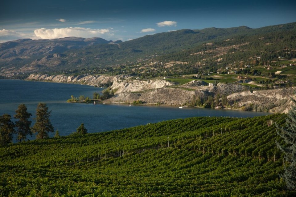 travel-penticton-landscape-x-allen-jones