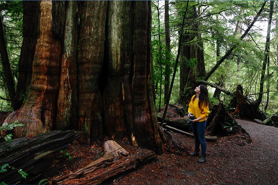 Ucluelet-Landon-Sveinson