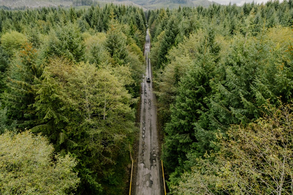 vancouver-island-north-tourism-san-jose-road