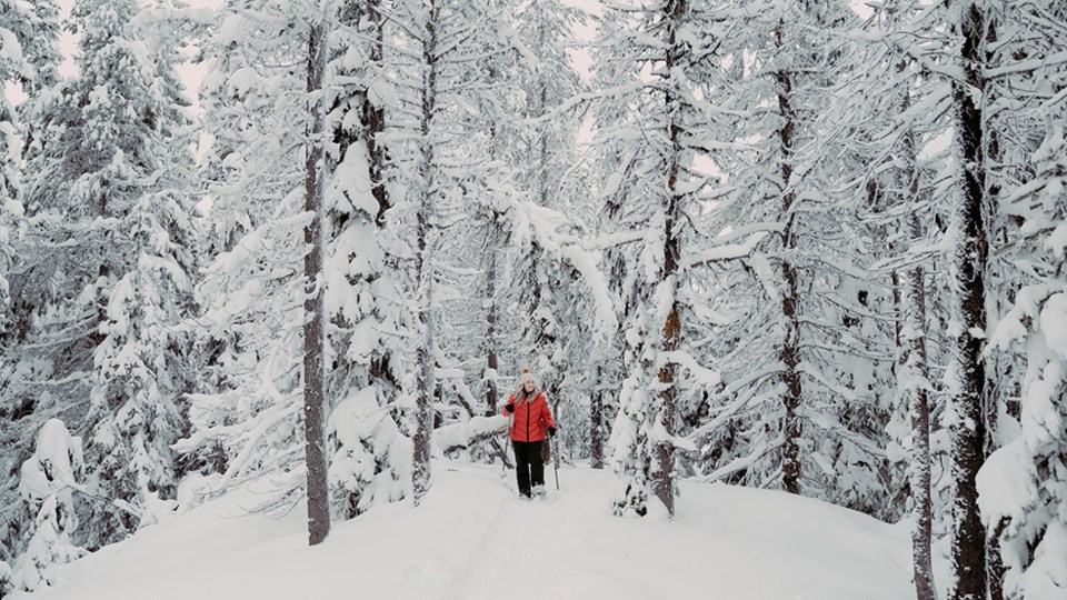 Vernon_Winter_Snowshoe