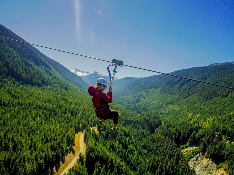 ziptrek-the-sasquatch_stellar-views