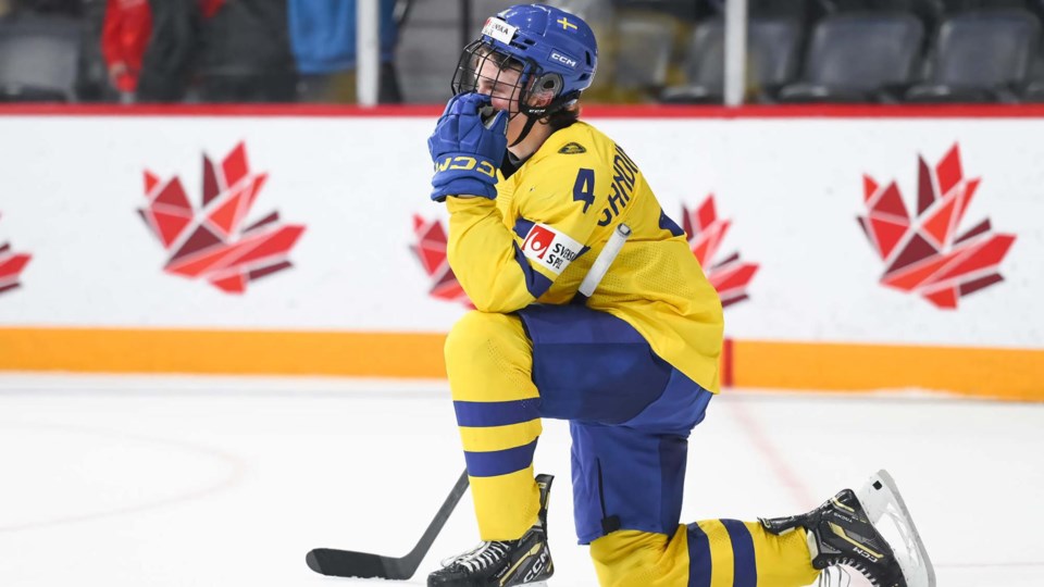 axel-sandin-pellikka-nhl