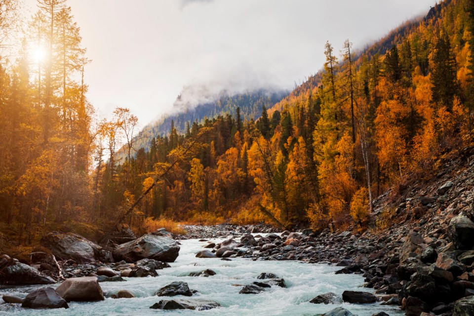 Banff, Alberta