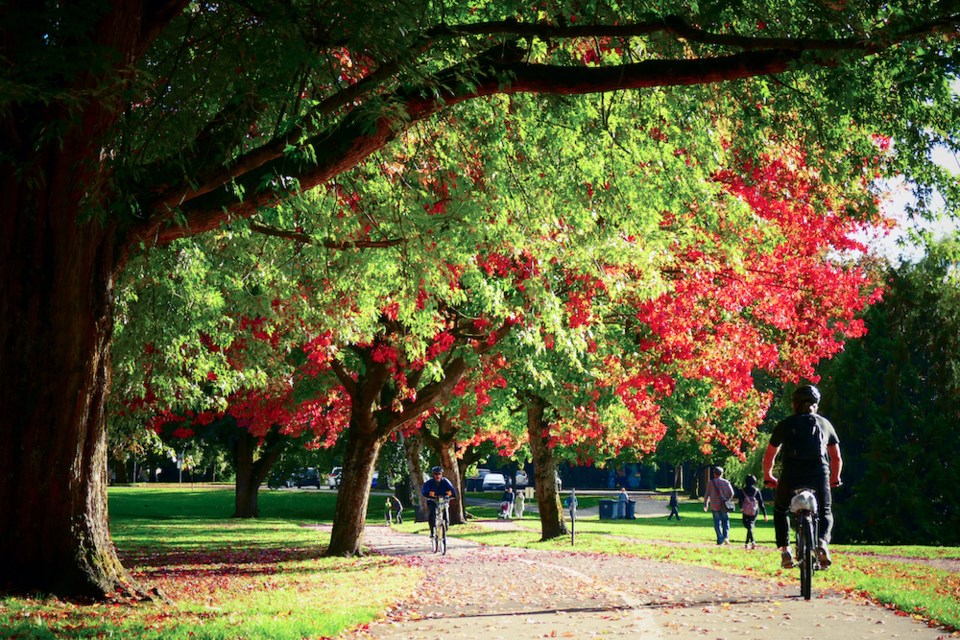 biking-walking-fall-leaves-autumn-park-vancouver-bc
