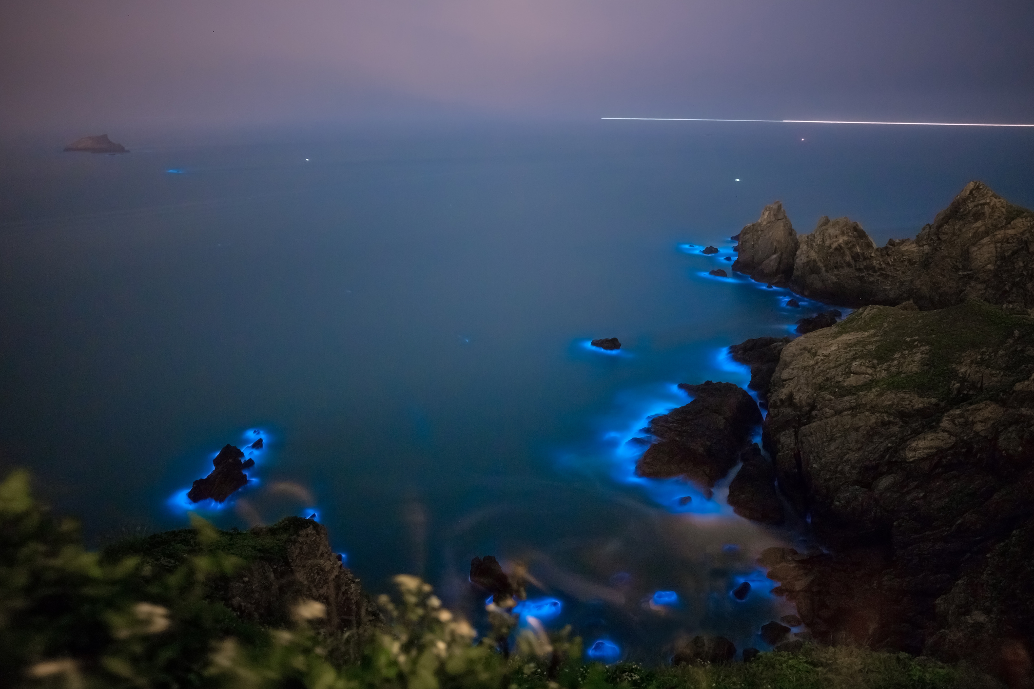bioluminescent tour vancouver island