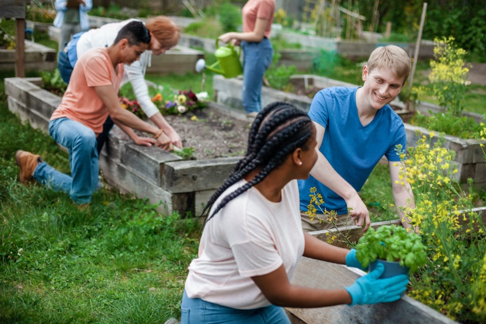 community-garden