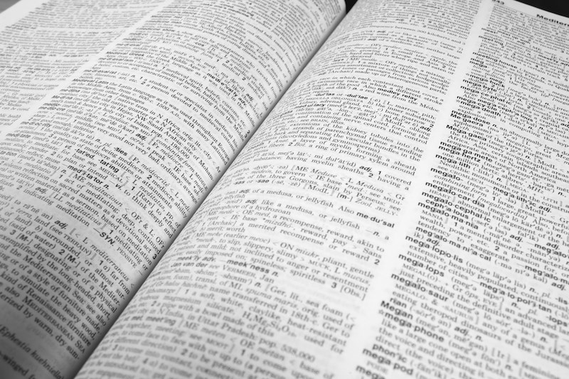 dictionary-english-definition-page-book-open